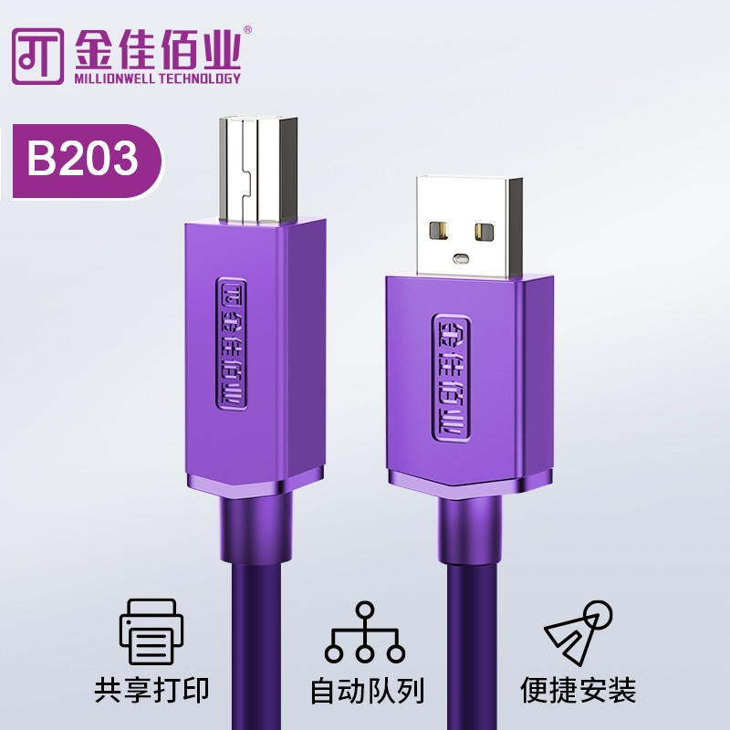 金佳佰業 貴族系列 AM/BM  打印線 B203